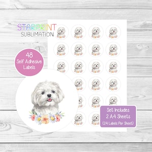 Pegatinas de perro maltés, 48 etiquetas redondas (2 hojas A4, 24 por hoja), ideales para sellar sobres, bolsas de fiesta, recuerdos, tarjetas y regalos.