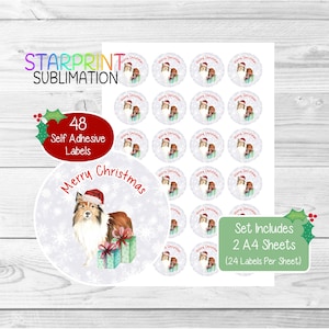 Pegatinas navideñas/sellos para sobres de Shetland Sheepdog/Sheltie (sable), 48 etiquetas redondas (2 hojas A4, 24 por hoja) para bolsas de fiesta, tarjetas y regalos