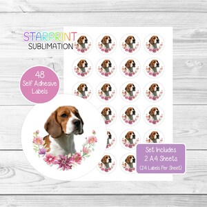 Pegatinas de perro Beagle, 48 etiquetas redondas (2 hojas A4, 24 por hoja), ideales para sellar sobres, bolsas de fiesta, regalos, tarjetas (N2)