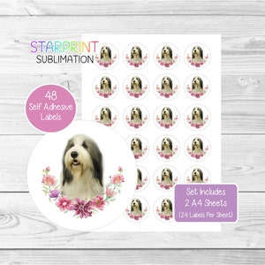 Pegatinas de perro Collie Barbudo, 48 etiquetas redondas (2 hojas A4, 24 por hoja), ideales para sellar sobres, bolsas de fiesta, recuerdos, tarjetas y regalos (N2)