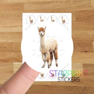 Pegatinas de alpaca/Sellos para sobres, 24 etiquetas redondas A4 (24 etiquetas por hoja), para bolsas de fiesta/tarjetas/regalos de perro