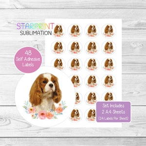Pegatinas de Cavalier King Charles Spaniel (Blenheim n.º 2), 48 etiquetas redondas (2 hojas A4), para sellar sobres, bolsas de fiesta, regalos, tarjetas