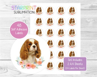 Cavalier King Charles Spaniel (Blenheim No.2) klistermärken, 48 runda etiketter (2 A4-ark), för kuvertsigill/festpåsar/presenter/kort/presenter