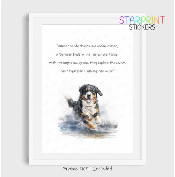 Mountain dog shop hotsell