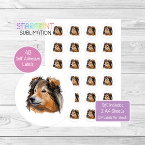 Pegatinas de perro pastor de Shetland/Sheltie, 48 etiquetas redondas (2 hojas A4, 24 por hoja), ideales para sellar sobres, bolsas de fiesta, regalos, tarjetas y más.