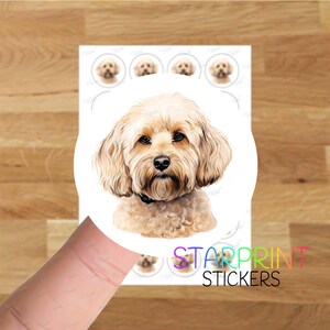 May include: A white sticker featuring a detailed illustration of a light brown dog with a black collar. The sticker has a circular design with smaller dog head illustrations around the main image. The text "STARPRINT STICKERS" is printed in a rainbow gradient.