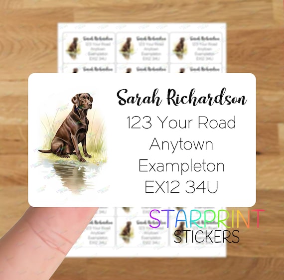 pettorine personalizzate per cani pettorine personalizzate per cani