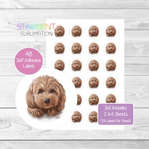 Stickers chien cockapoo, 48 étiquettes rondes (2 feuilles A4, 24 par feuille), parfaits pour les scellés d'enveloppes/sacs de fête/faveurs/cartes/cadeaux (n° 2)