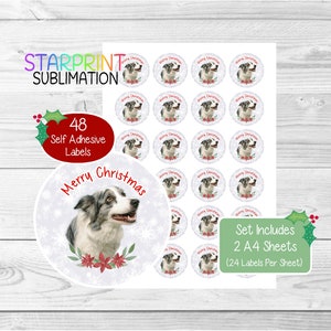 Pegatinas/Sellos de sobre navideños de Border Collie (Blue Merle), 48 etiquetas redondas (2 hojas A4, 24 por hoja), para bolsas de fiesta, tarjetas y regalos