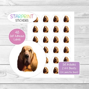 Pegatinas de perro Blood Hound, 48 etiquetas redondas (2 hojas A4, 24 por hoja), ideales para sellar sobres, bolsas de fiesta, recuerdos, tarjetas y regalos.