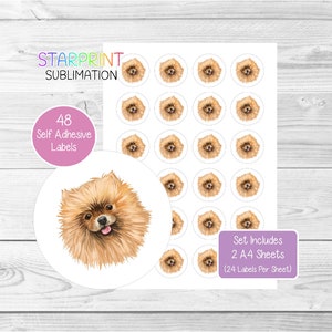 Pegatinas de Pomerania, 48 etiquetas redondas (2 hojas A4, 24 por hoja), ideales para sellar sobres, bolsas de fiesta, regalos, tarjetas (n.° 2)