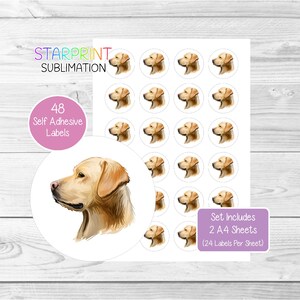 Stickers labrador retriever (geel 2), 48 ronde labels (2 A4-vellen, 24 per vel), ideaal voor enveloppen/feestzakjes/gunsten/kaarten/cadeaus