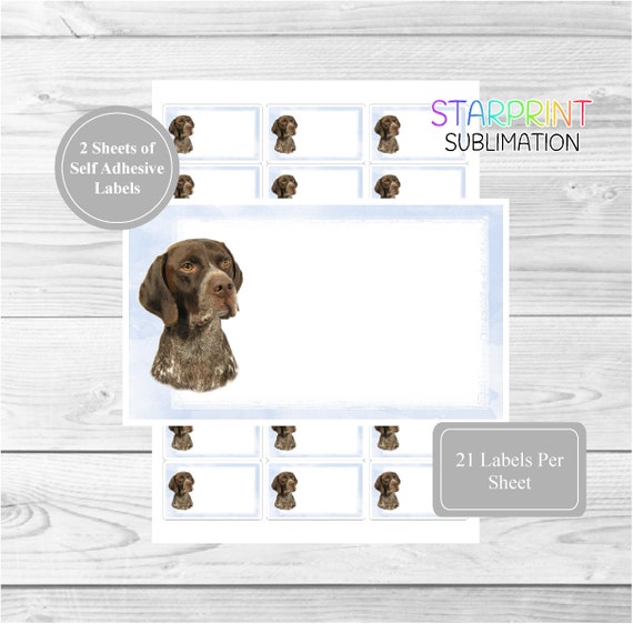 German Shorthaired Pointer Dog Sticker Sheets 42 Multi - Etsy