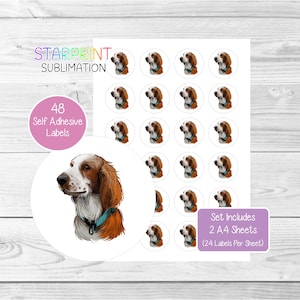 Pegatinas de perro Springer Spaniel Galés, 48 etiquetas redondas (2 hojas A4, 24 por hoja), ideales para sellar sobres, bolsas de fiesta, tarjetas y regalos (n.° 2)