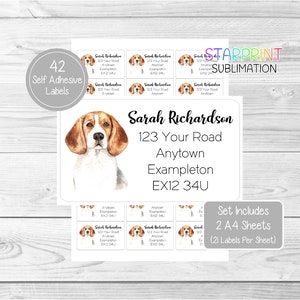 May include: A set of 42 self-adhesive labels featuring a watercolor illustration of a beagle dog. The labels are designed for use as return address labels and include the text "Sarah Richardson, 123 Your Road, Anytown Exampleton, EX12 34U". The set includes two A4 sheets with 21 labels per sheet.