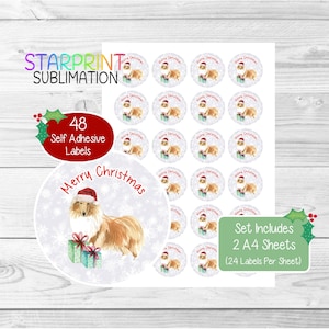 Adesivi natalizi/sigilli per buste a forma di cane Rough Collie (zibellino), 48 etichette rotonde (2 fogli A4, 24 per foglio) per sacchetti per feste/biglietti/regali