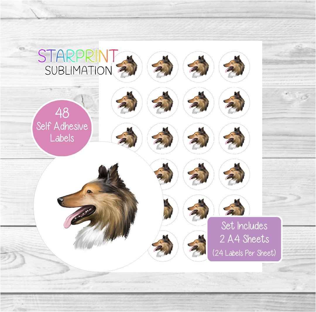 Rough Collie Dog Stickers, 48 Round Labels (2 A4 Sheets, 24 per Sheet ...