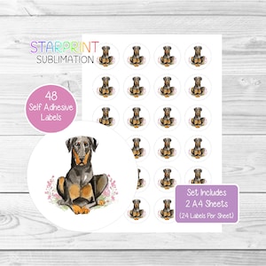 Dobermann (zwart of bruin) hondenstickers, 48 ronde labels (2 A4-vellen, 24 per vel), ideaal voor enveloppen/feestzakjes/gunsten/kaarten/cadeaus