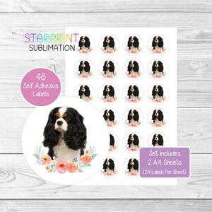Pegatinas de Cavalier King Charles Spaniel (Tri n.º 2), 48 etiquetas redondas (2 hojas A4, 24 por hoja), para sellos de sobres, bolsas de fiesta, regalos y tarjetas