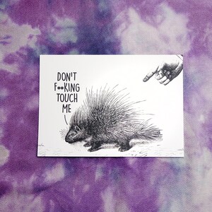 Vintage Style Funny Porcupine A6 Postcard Print