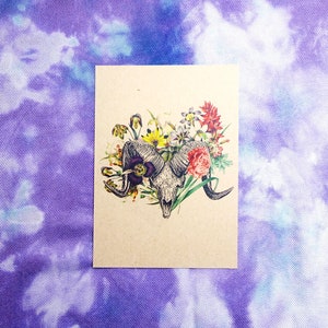 Vintage Style Funny Porcupine A6 Postcard Print