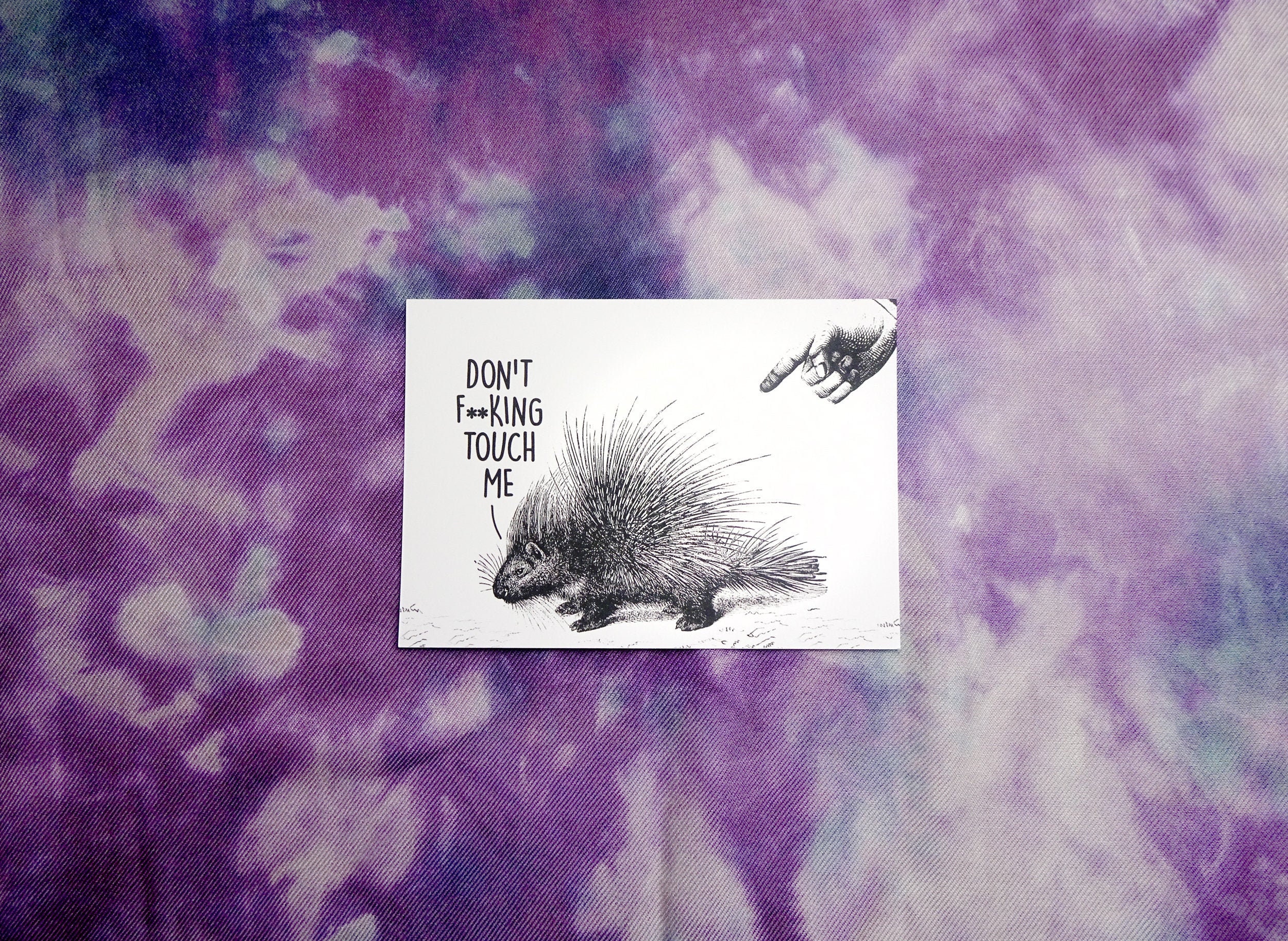 Vintage Style Funny Porcupine A6 Postcard Print
