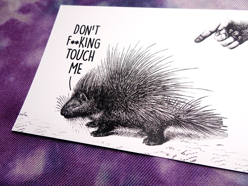 Vintage Style Funny Porcupine A6 Postcard Print