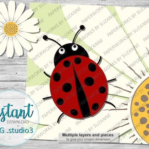 Ladybug and Daisy Flower .SVG .Studio3 .GSP for Silhouette, Cricut and other machines.