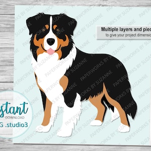 Berner Sennenhund Kürbis .SVG .Studio3 .GSP für Silhouette, Cricut, Glowforge und andere Maschinen. Für Karten, Dekorationen etc.