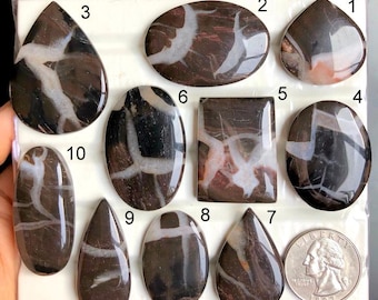 May include: Ten polished black and white agate cabochons with white veins. The cabochons are numbered 1 through 10.