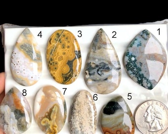Könnte beinhalten: Eine Sammlung von acht polierten Edelstein-Cabochons in verschiedenen Formen und Farben, darunter Tropfen- und ovale Formen. Die Steine zeigen Muster in Beige, Braun, Gelb und Grün. Eine Münze wird als Größenreferenz mitgeliefert.