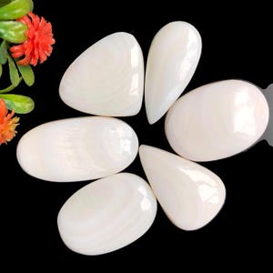 Piedra preciosa cabujón de concha blanca, 21 x 31 mm aprox. Formas y tamaños mixtos, lote de 6 piezas, hermoso lote de piedras preciosas de concha blanca para usar en la fabricación de joyas