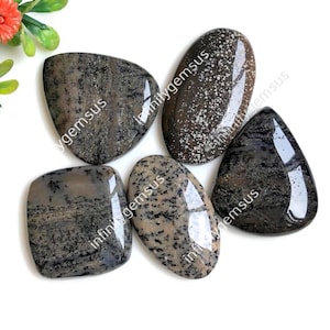 Cabochon met natuurlijke honingdendriet, 26 x 35 mm, gemengde vormen en maten, 5 stuks zoals op de foto, zuidwestenstijl en handgemaakte ambachtelijke ontwerpen 84530