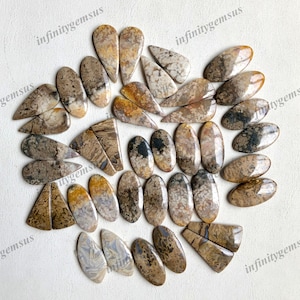 Coppia di pietre preziose naturali di radice di palma, cabochon sfusi con finitura lucida, per la creazione di gioielli fai da te e materiali artigianali.