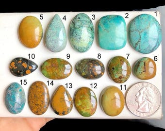 May include: Fifteen turquoise cabochons in various shapes and sizes, including oval, round, and teardrop, with a mix of blue, green, and brown colors. The cabochons are arranged in rows on a white surface, with numbers 1 through 15 printed above each stone.