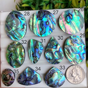 Selected Abalone Shell Cabochon, Natural Semi Precious Gemstone For Jewelry, Handmade Abalone Shell Handmade Gemstone Jewelry LOT-A761