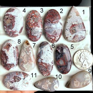 Puede incluir: Una colección de once piedras preciosas pulidas de varias formas, incluyendo ovaladas y en forma de lágrima. Las piedras muestran una mezcla de colores, incluyendo blanco, rojo y gris, con patrones únicos. Se incluye una moneda para la comparación de tamaños. Las piedras preciosas están numeradas del 1 al 11.