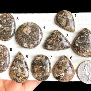 Geselecteerde turtella jaspis cabochon, helende edelsteen voor het maken van sieraden, jaspis ketting, cabochons zijn dol op handgemaakte ambachtelijke ontwerpen LOT-H2