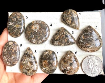 May include: Nine brown and black agate cabochons with a swirling pattern. The cabochons are numbered 1 through 9. A US quarter is included for scale.