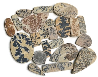 Op de afbeelding: Een verzameling van 17 natuurlijke stenen cabochons met dendritische patronen in tinten bruin, zwart en wit. De stenen zijn in verschillende vormen en maten, waaronder ovaal, druppelvormig en rechthoekig.