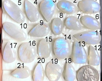 May include: A collection of twenty-one polished moonstone gemstones in various shapes, including oval, teardrop, and pear. The stones display a milky white color with iridescent blue flashes. A US quarter is included for size reference.