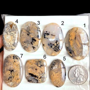 Cabujón de ágata dendrita tigre seleccionado, piedra semipreciosa natural para joyería, cristal natural de ágata dendrita tigre.