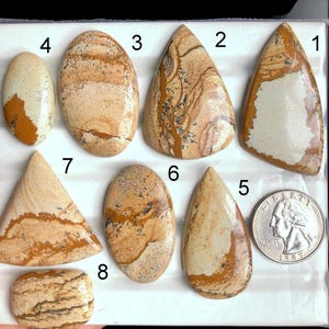 Cabochon en jaspe photo sélectionné, pierre semi-précieuse naturelle pour la fabrication de bijoux, bijoux de bagues artisanales de style sud-ouest