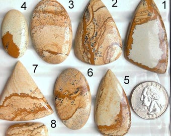 Geselecteerde foto jaspis cabochon, natuurlijke halfedelsteen voor het maken van sieraden, zuidwestenstijl en handgemaakte ambachtelijke ringen
