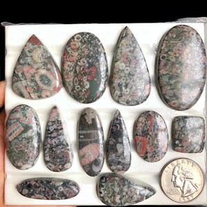 Selected Asteroid Fossil Cabochon, Natural Semi Precious Gemstone For Jewelry, Southwest Style & Handcrafted Artisan Designs Jewelry LOT-251