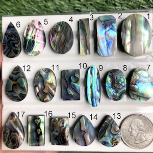 Natural Abalone Shell Flatbacks – Peacock Blue & Green Shell Gemstones, High Luster Oval And Round Shell Cabochons for Metalsmithing 1114