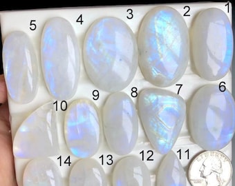 May include: A collection of fourteen polished moonstone cabochons in various shapes and sizes, displayed on a white surface. The stones exhibit a milky white base with iridescent blue and yellow flashes. A US quarter is included for size reference.