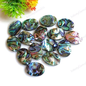 Abalone Shell Cabochon, CALIBRATED 10x14mm Oval Shape Gemstone, 10 Pcs Lot For Necklace Making, AAA+ Quality Abalone Sea Shell For Jewelry