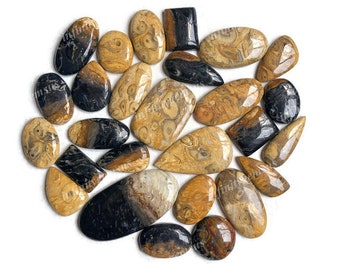 AAA Quality Palm Root Agate Cabochon Wholesale Lot, Mix Shapes and Size Palm Root Agate for DIY jewelry making, Pendant, Craft supplies