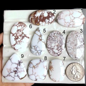 GESELECTEERDE wilde paard jaspis cabochon, natuurlijke halfedelsteen voor sieraden, wilde paard kristallen sieraden, mode-edelsteen LOT-A72